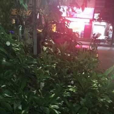 Tổng hợp- Yến Linh Cafe - Nguyễn Đình Thi