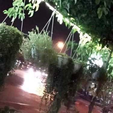 Tổng hợp- Yến Linh Cafe - Nguyễn Đình Thi