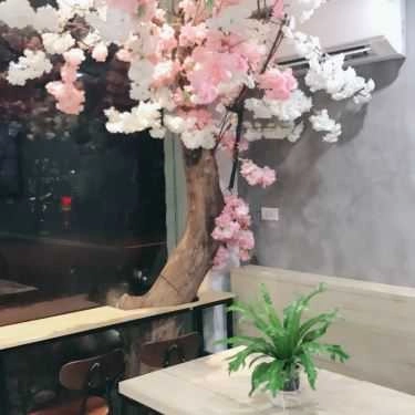 Tổng hợp- Cafe Zen Sheep Tea