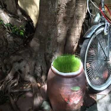 Tổng hợp- Zum Coffee