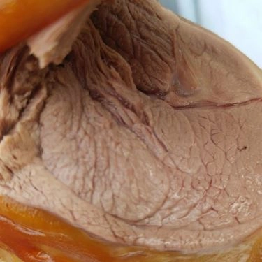 Món ăn- Rừng & Biển - Quán ăn Gia Đình & Bạn Hữu