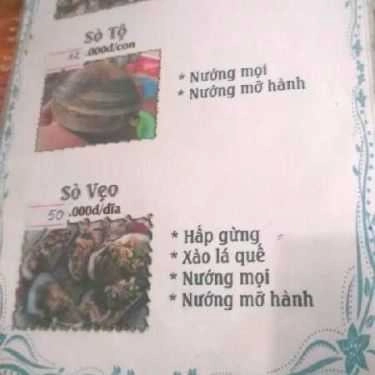 Tổng hợp- Ngôi Sao Xanh