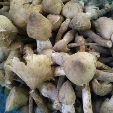 Món ăn- Nhà Hàng Ẩm Thực Tri Kỷ
