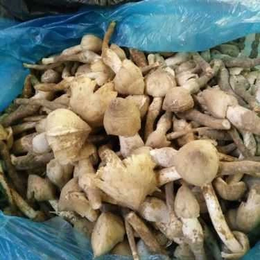 Món ăn- Nhà Hàng Ẩm Thực Tri Kỷ