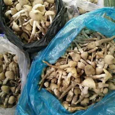 Món ăn- Nhà Hàng Ẩm Thực Tri Kỷ