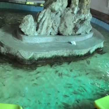 Tổng hợp- Nhà Hàng Dìn Ký - Khu Du Lịch Xanh Lái Thiêu