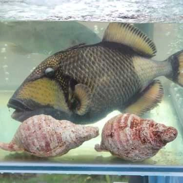 Tổng hợp- Nhà Hàng Hoàng Quyên - Seafood Restaurant