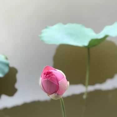Tổng hợp- Nhà Hàng Hương Quê - Ẩm Thực Sân Vườn