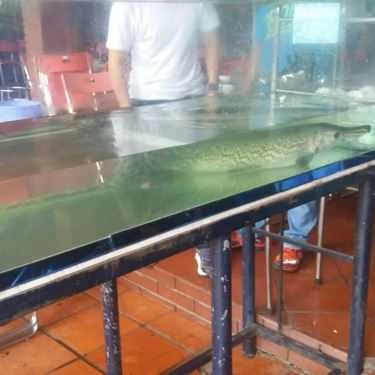 Tổng hợp- Nhà Hàng Năm Lửa 6 - Tỉnh Lộ 743C