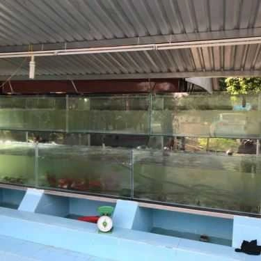 Tổng hợp- Nhà Hàng Ẩm Thực Gà Rừng
