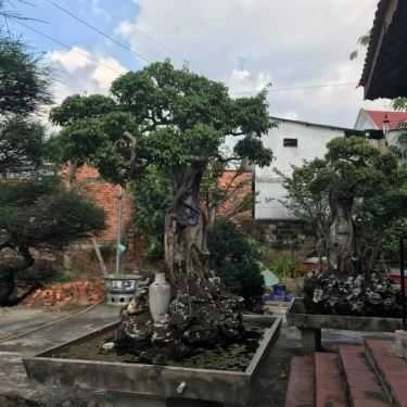 Không gian- Nhà Hàng Ẩm Thực Gà Rừng