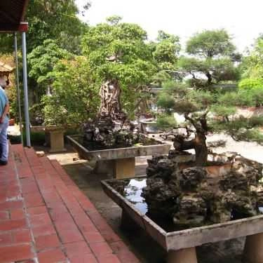 Tổng hợp- Nhà Hàng Ẩm Thực Gà Rừng