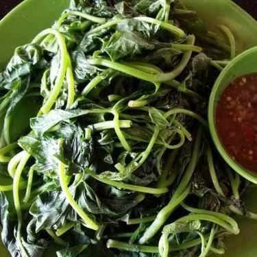 Tổng hợp- Nhà Hàng Tân Sake - Ẩm Thực Sinh Thái