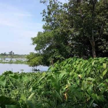 Tổng hợp- Nhà Hàng Tân Sake - Ẩm Thực Sinh Thái