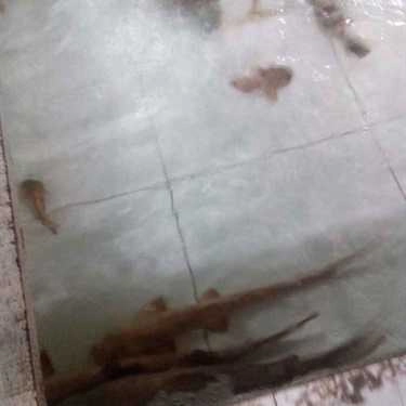 Tổng hợp- Quán Ăn Eo Biển - Hải Sản Tươi Sống