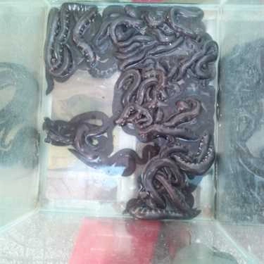 Tổng hợp- Quán Ăn Lê Nguyễn Quán - Đường 3 Tháng 2