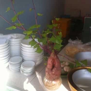 Tổng hợp- Quán Ăn Tô Mẽ - Mì Bò Tiềm