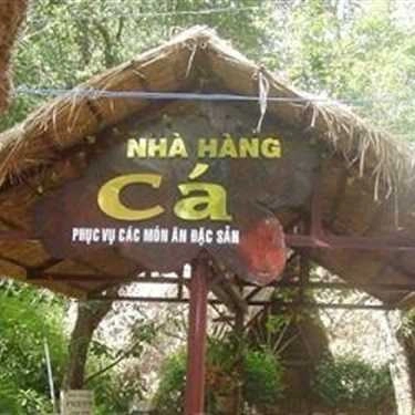 Tổng hợp- Nhà Hàng Cá