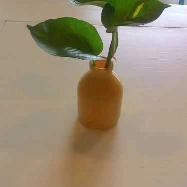 Tổng hợp- Art House Café