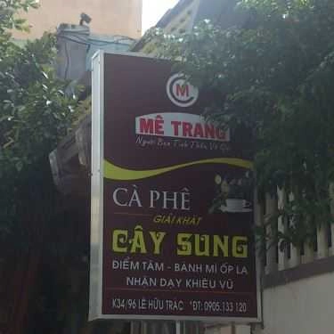 Tổng hợp- Cây Sung Cafe