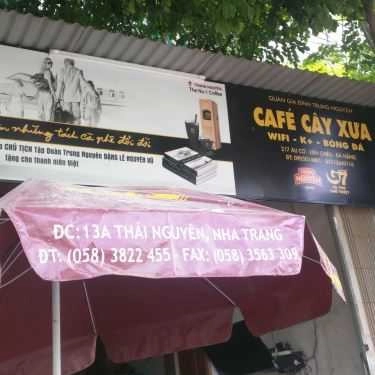 Tổng hợp- Cây Xưa Cafe