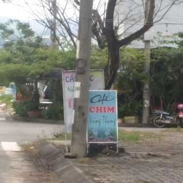 Tổng hợp- Vũng Thùng - Cafe Chim