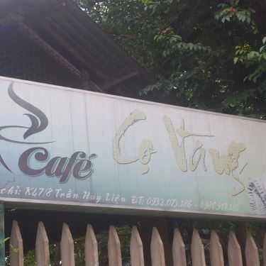 Tổng hợp- Cọ Vàng Cafe