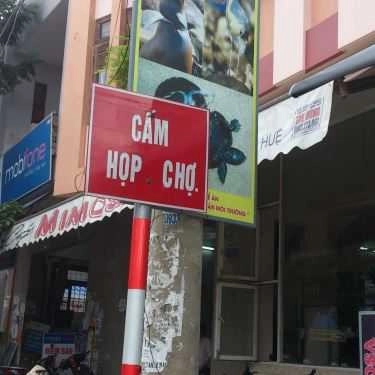 Tổng hợp- Mimosa Cafe
