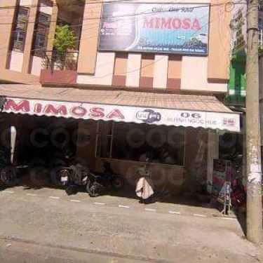 Tổng hợp- Mimosa Cafe