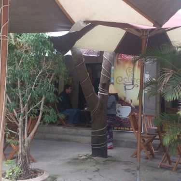 Tổng hợp- Roma Cafe