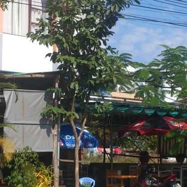 Tổng hợp- Thu Hoa Cafe