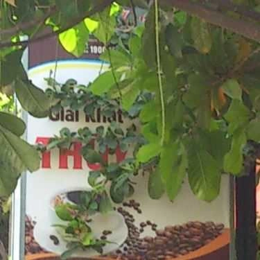 Tổng hợp- Thúy Nga Cafe - Nguyễn Đỗ Cung