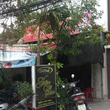 Tổng hợp- Vườn Chim Cafe - Nguyễn Phi Khanh