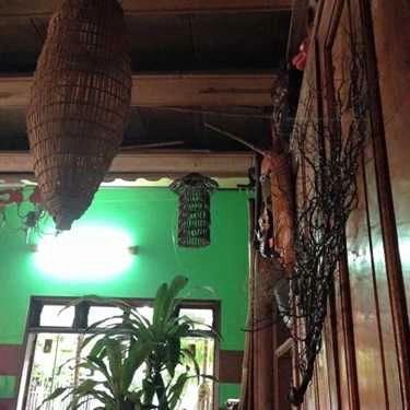 Tổng hợp- Châu Chấu Café