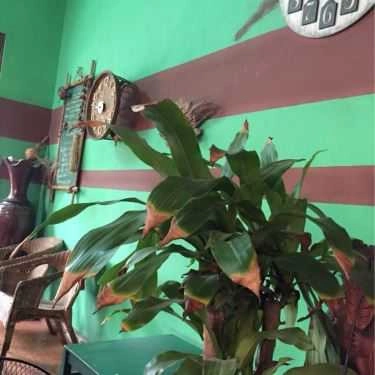 Tổng hợp- Châu Chấu Café