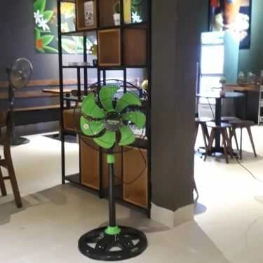 Tổng hợp- Panda's Milano Coffee
