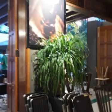 Tổng hợp- Panda's Milano Coffee