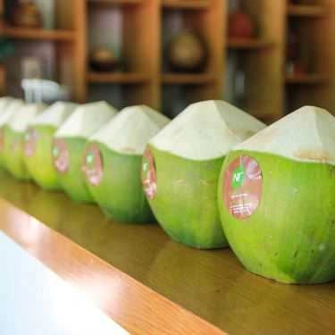 Tổng hợp- Cafe Dừa Nhất Tâm