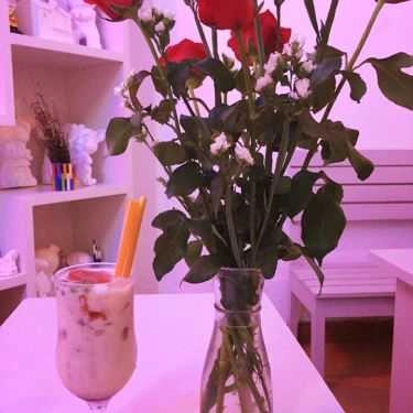 Tổng hợp- Cafe Fresh Shop - Kem Tươi Sài Gòn