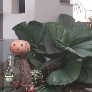 Tổng hợp- Giao Mùa Cafe