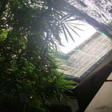Tổng hợp- Giao Mùa Cafe