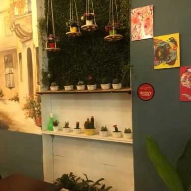 Tổng hợp- Lucy’s Coffee & Tea