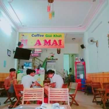 Tổng hợp- Hoa Mai Cafe