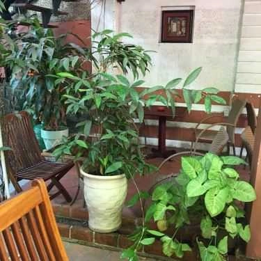 Không gian- Hoàng Uyên Cafe