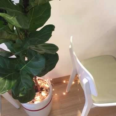 Tổng hợp- I'm Here Coffee Shop - Tống Phước Phổ
