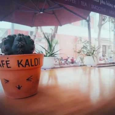 Tổng hợp- Kaldi Cafe