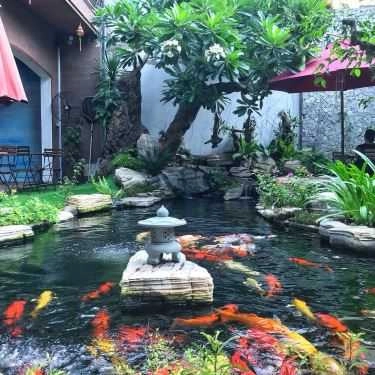Tổng hợp- Koikichi - Cà Phê Sân Vườn