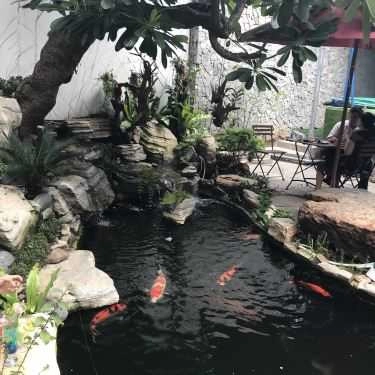 Tổng hợp- Koikichi - Cà Phê Sân Vườn