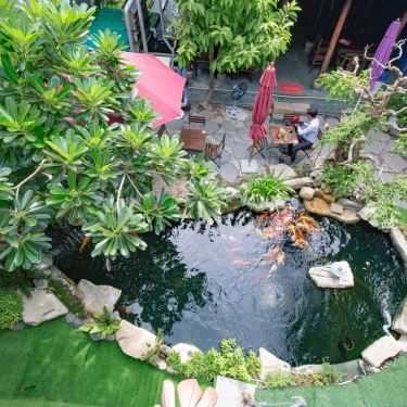 Tổng hợp- Koikichi - Cà Phê Sân Vườn