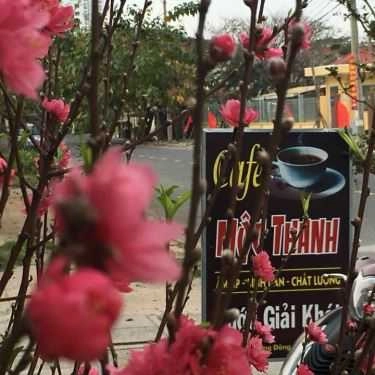 Tổng hợp- Mộc Thanh Cafe